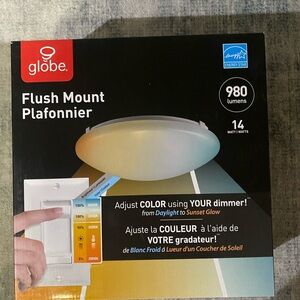 New in box Globe Flush Mount Ceiling Light duo bright